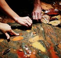 Daintree Eco Lodge And Spa - Kalgoorlie Accommodation