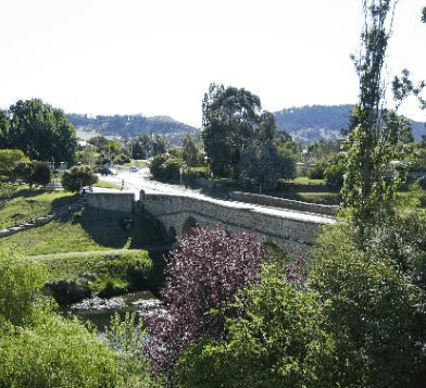 Millhouse on the Bridge