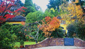 Moniques Bed And Breakfast - Kalgoorlie Accommodation 3