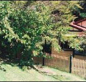 Apple Tree Cottage - Kalgoorlie Accommodation