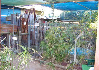 Safari Lodge Motel - Kalgoorlie Accommodation 1