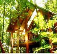The Canopy Treehouses - Kalgoorlie Accommodation