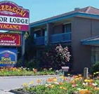 Strzelecki Motor Lodge - Kalgoorlie Accommodation