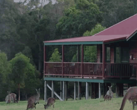 Walpole WA Kalgoorlie Accommodation