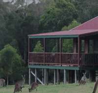 Walpole Wilderness Resort - Kalgoorlie Accommodation