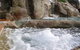 Paradise Island Resort - thumb 5