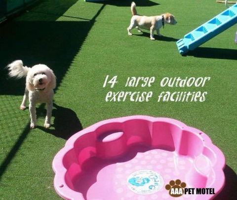 AAA Pet Motel - Kalgoorlie Accommodation 2