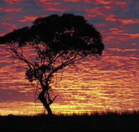 Kimba Caravan Park amp Motel - Kalgoorlie Accommodation