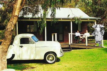 Taunton Farm Holiday Park - Kalgoorlie Accommodation 1