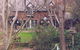 Merrimeet Cottages - thumb 0