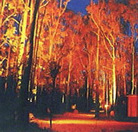 Dwellingup Chalet amp Caravan Park - Kalgoorlie Accommodation