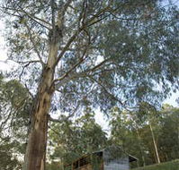 Outpost Restaurant - Kalgoorlie Accommodation