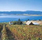 Marions Vineyard  - Kalgoorlie Accommodation