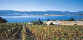 Marions Vineyard  - Kalgoorlie Accommodation 0