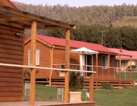 Maydena Country Cabins And Alpacas - Kalgoorlie Accommodation 0