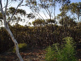 Cuballing ACT Kalgoorlie Accommodation