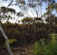 Lions Dryandra Woodlands Village - Kalgoorlie Accommodation