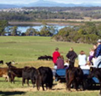 Bonny Brae - Kalgoorlie Accommodation