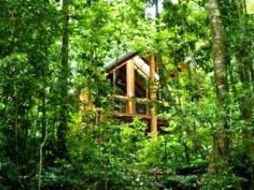 Fur'N'Feathers Rainforest Tree Houses - Kalgoorlie Accommodation 0