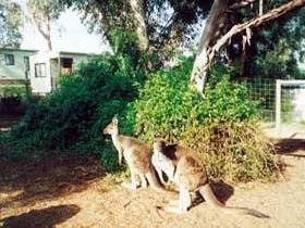 Riverglen SA Kalgoorlie Accommodation