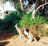 Avoca Dell Caravan Park - Kalgoorlie Accommodation