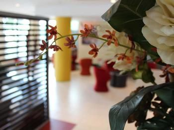 Ibis Newcastle - Kalgoorlie Accommodation 24