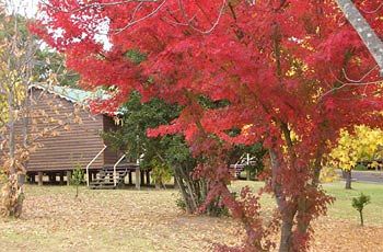 Madison's Mountain Retreat - Kalgoorlie Accommodation 1