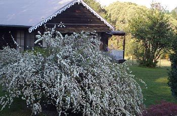 Madison's Mountain Retreat - Kalgoorlie Accommodation 3