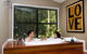 Amore On Buderim Luxury Rainforest Cabins - thumb 19