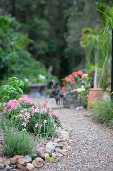 Noosa Valley Manor B&B Retreat - Kalgoorlie Accommodation 12