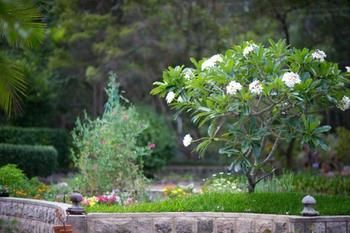 Noosa Valley Manor B&B Retreat - Kalgoorlie Accommodation 13