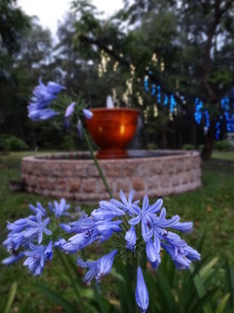 Noosa Valley Manor B&B Retreat - Kalgoorlie Accommodation 34