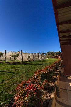 De'Vine Escape - Kalgoorlie Accommodation 5