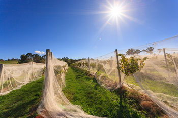 De'Vine Escape - Kalgoorlie Accommodation 14