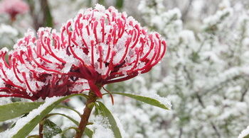 Valley Of The Waters B&B - Kalgoorlie Accommodation 12