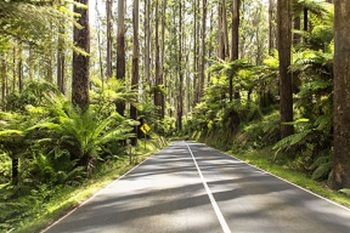 Vibe Hotel Marysville - Kalgoorlie Accommodation 19