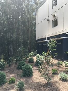 Ibis Budget Gosford - Kalgoorlie Accommodation 14
