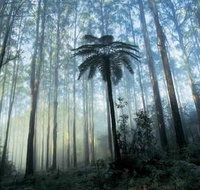 Tower Motel Marysville - Kalgoorlie Accommodation