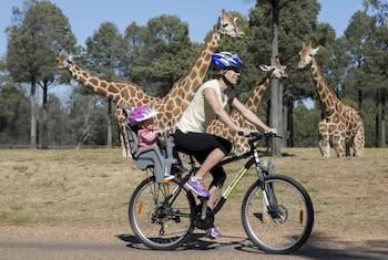 Zoofari Lodge, Taronga Western Plains Zoo - Kalgoorlie Accommodation 7