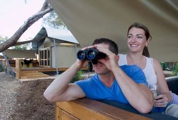 Zoofari Lodge, Taronga Western Plains Zoo - Kalgoorlie Accommodation 12
