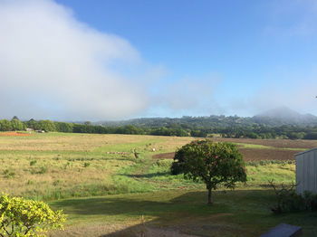 Eumundi Gridley Homestead B&B - Kalgoorlie Accommodation 6
