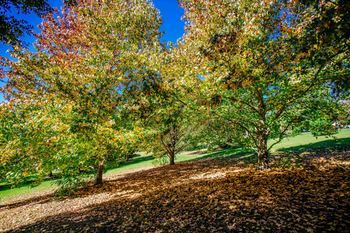 Avoca Valley Bed & Breakfast - Kalgoorlie Accommodation 14