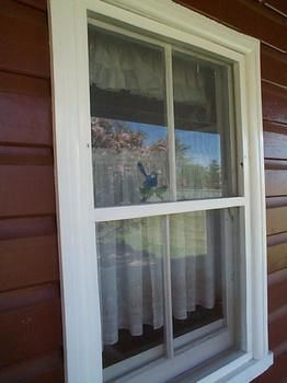 Aaron Cottage - Kalgoorlie Accommodation 1