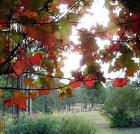 Elfin Hill Country Accommodation - Kalgoorlie Accommodation