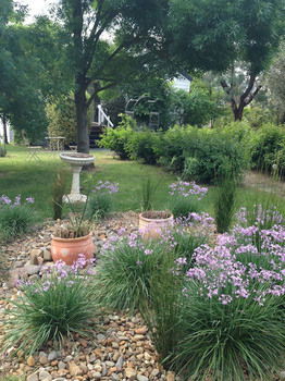 Yarraglen BnB - Kalgoorlie Accommodation 19
