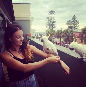 Boardrider Hostel/Backpacker & Budget Motel - Kalgoorlie Accommodation 3