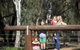 Billabong Camp, Taronga Western Plains Zoo - thumb 2
