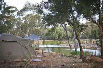 Billabong Camp, Taronga Western Plains Zoo - Kalgoorlie Accommodation 3