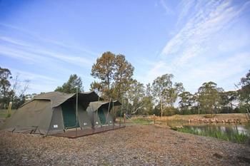 Billabong Camp, Taronga Western Plains Zoo - Kalgoorlie Accommodation 4