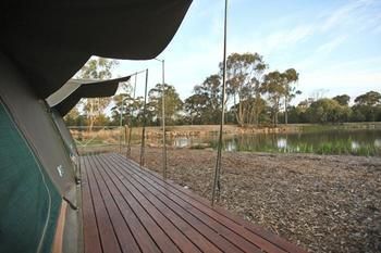 Billabong Camp, Taronga Western Plains Zoo - Kalgoorlie Accommodation 11